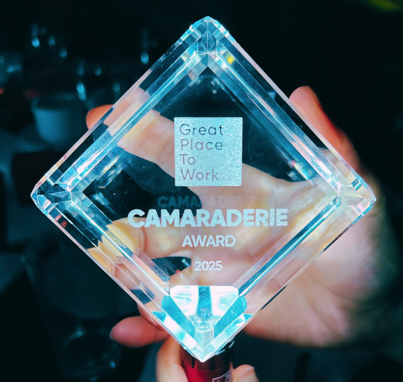 Camaraderie Award image